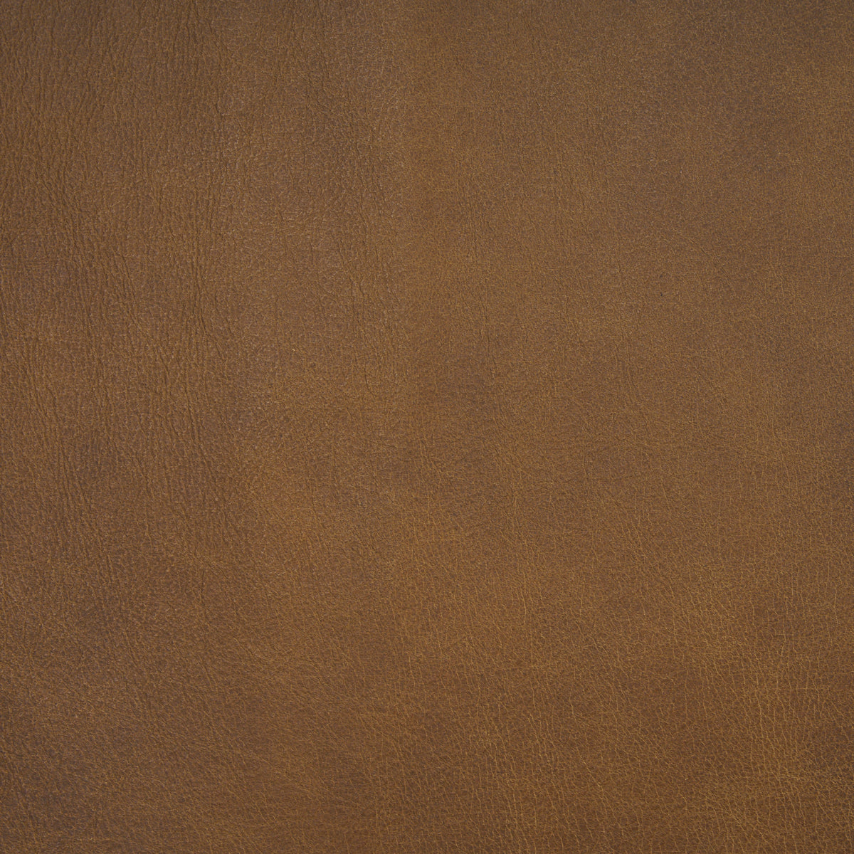 Berbick Leather Dining Chair