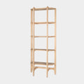 Taylin Shelving Unit