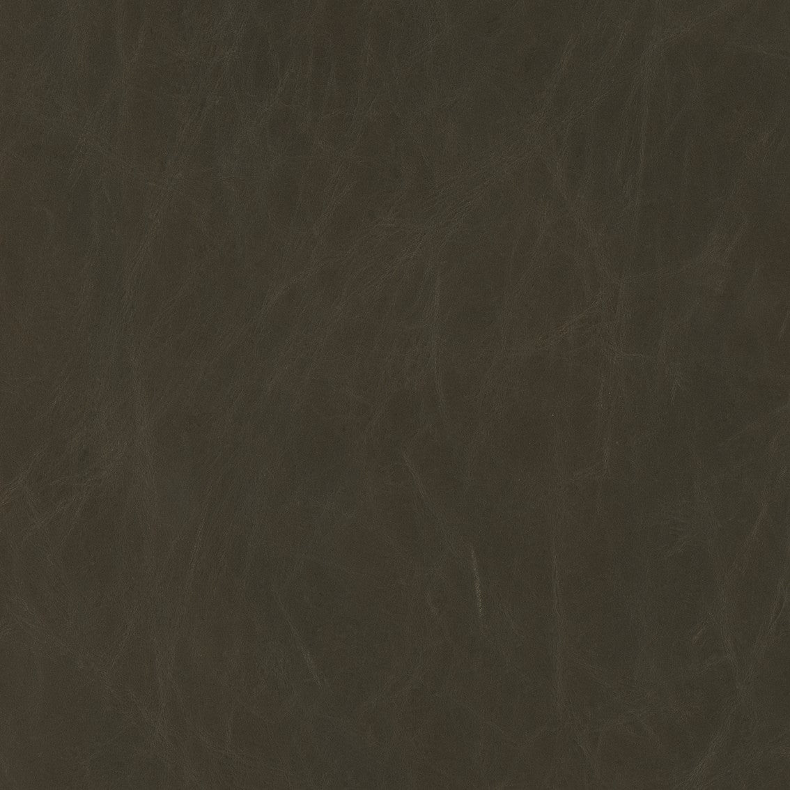 Hollyfield Leather Contract-Grade Dining Chair