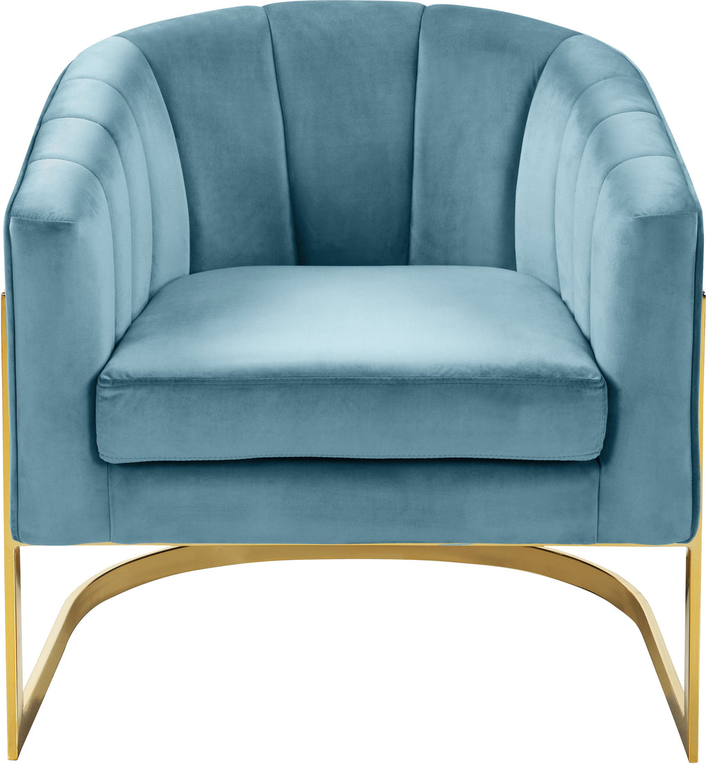 Carter Velvet Upholstered Accent Chair