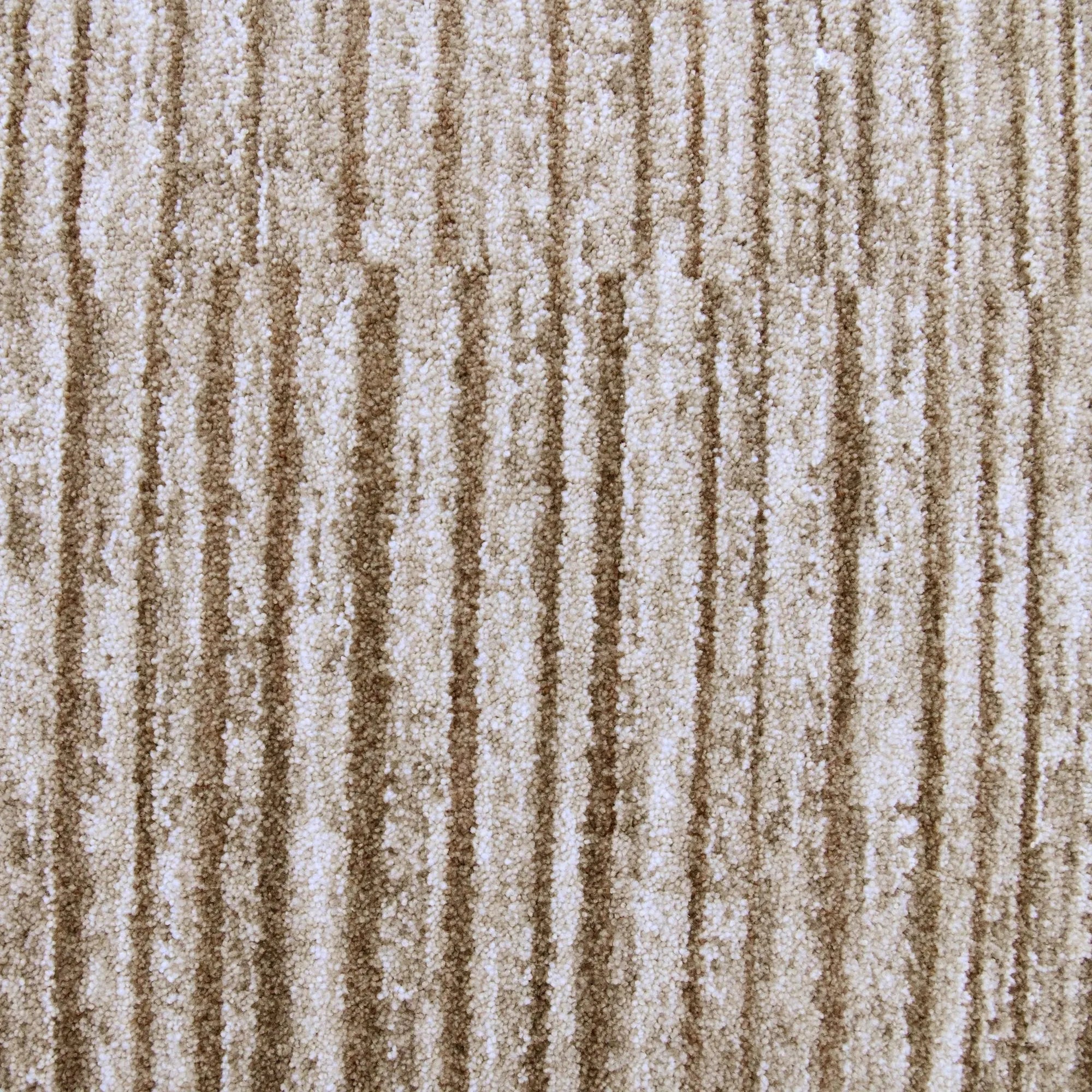 Blake Power Loomed Rug