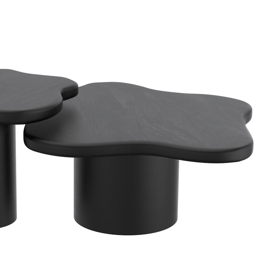 Mayal Large Coffee Table in Black