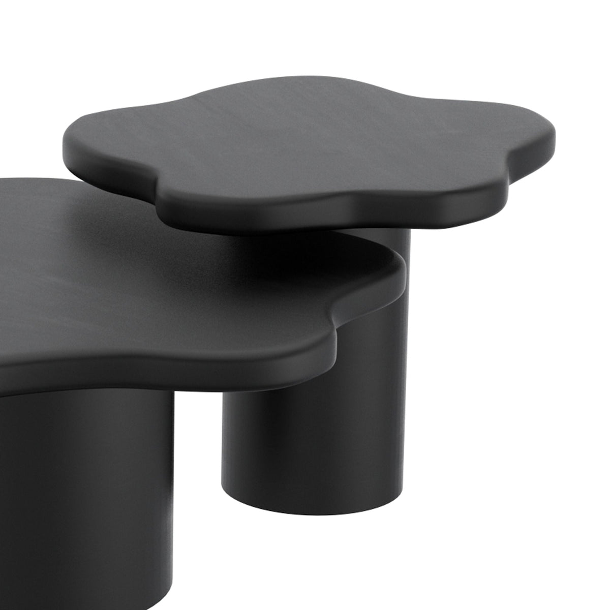 Mayal Small Coffee Table in Black