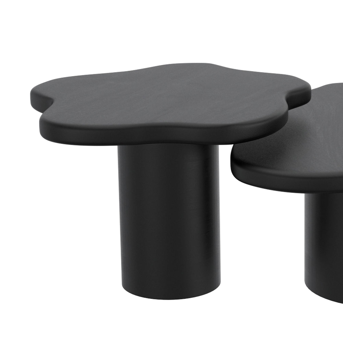 Mayal Small Coffee Table in Black