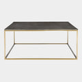 Trebon Coffee Table