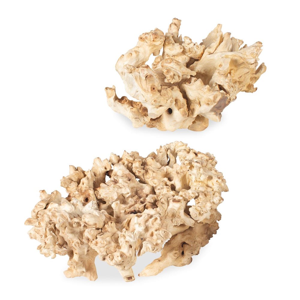 Elemental Root Outdoor Sculptures, S/2