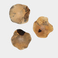 Tamarine Wood Wall Decor, S/3