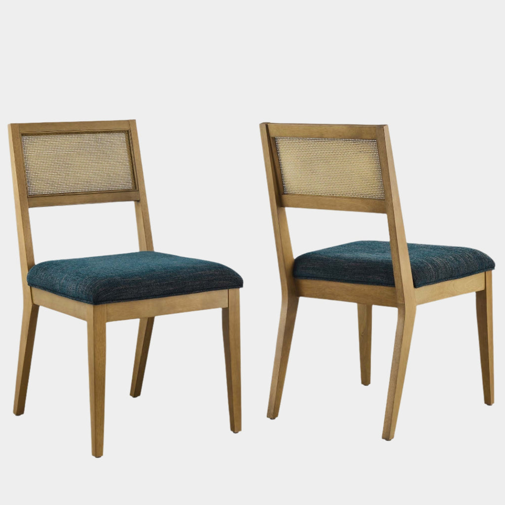 Nimba Faux Rattan Fabric Dining Chairs Set of 2
