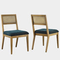 Nimba Faux Rattan Fabric Dining Chairs Set of 2
