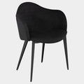 Nora Dining Chair (Titanium Steel Legs)