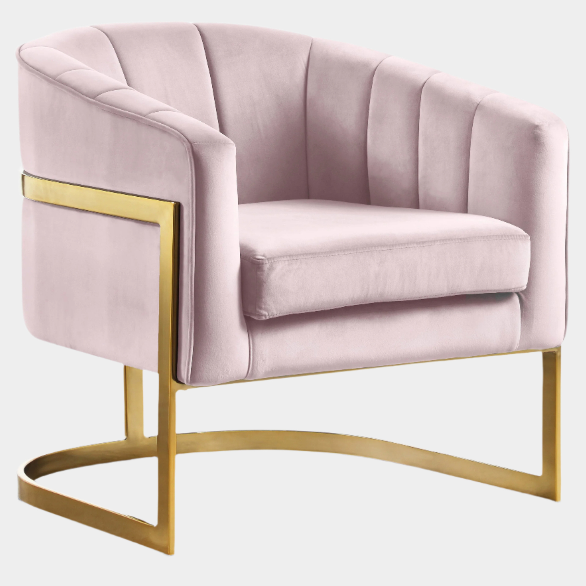 Carter Velvet Upholstered Accent Chair
