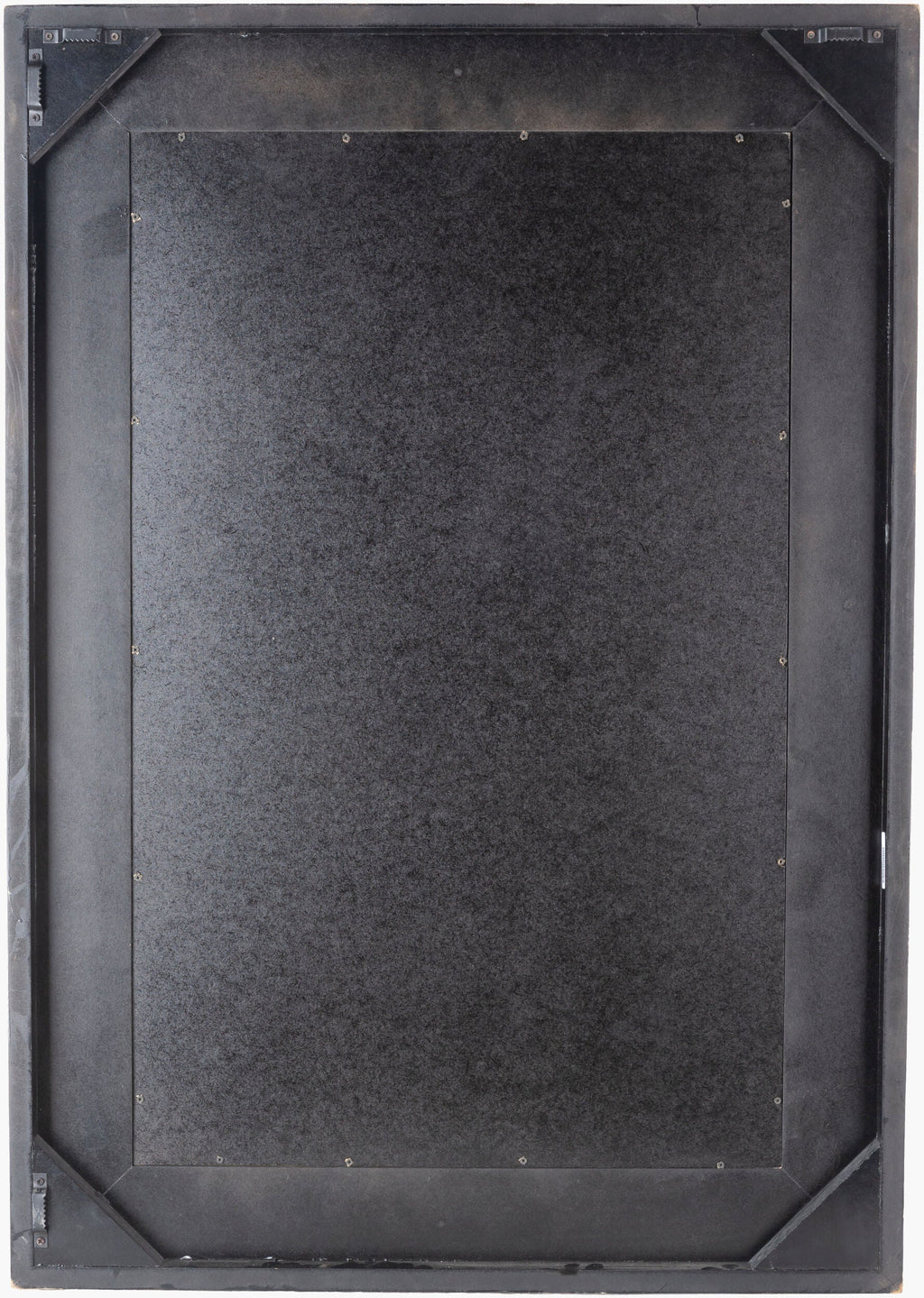 Amrapali Mirror