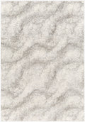 Cloudy Shag Machine Woven Rug