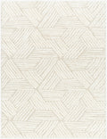 Cloudy Shag Machine Woven Rug