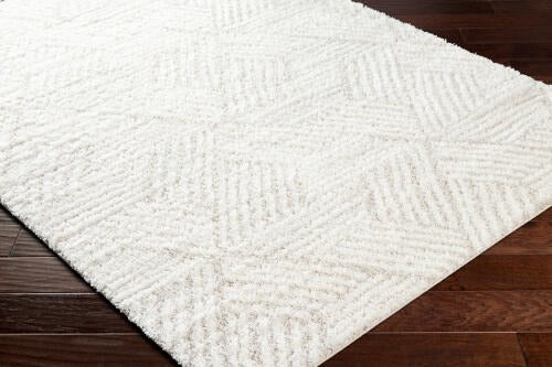 Cloudy Shag Machine Woven Rug
