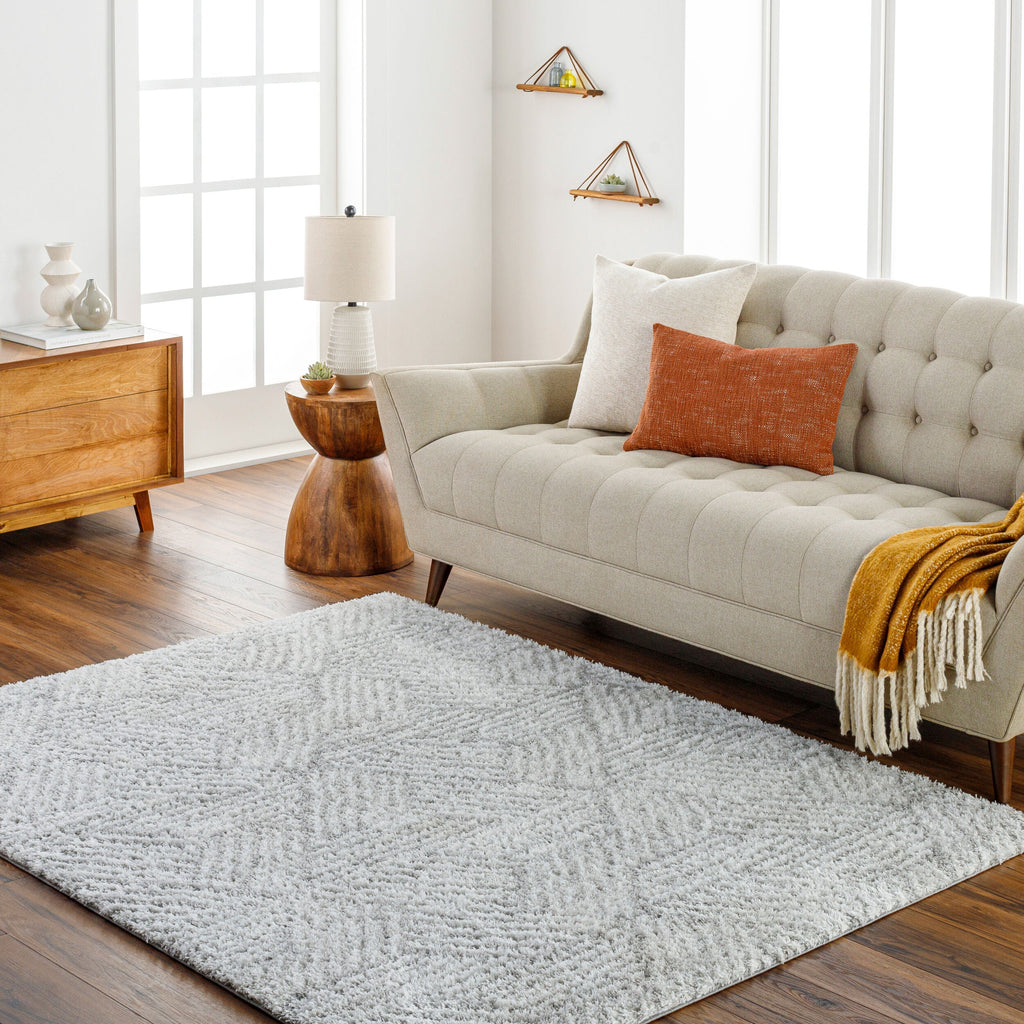 Cloudy Shag Machine Woven Rug