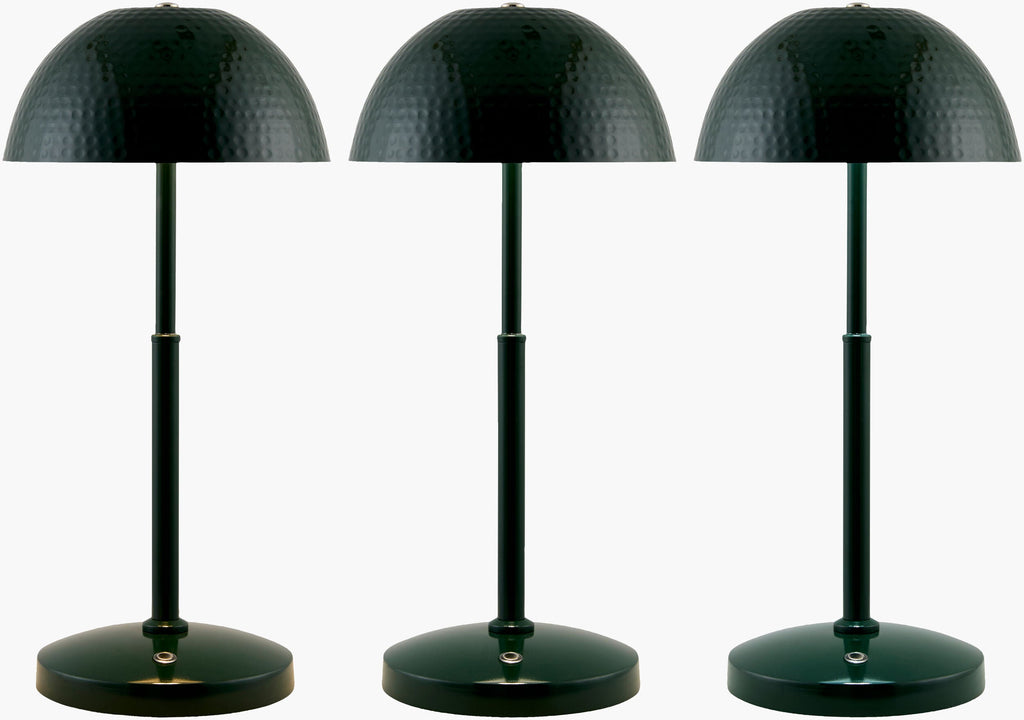 Elvas Accent Table Lamp