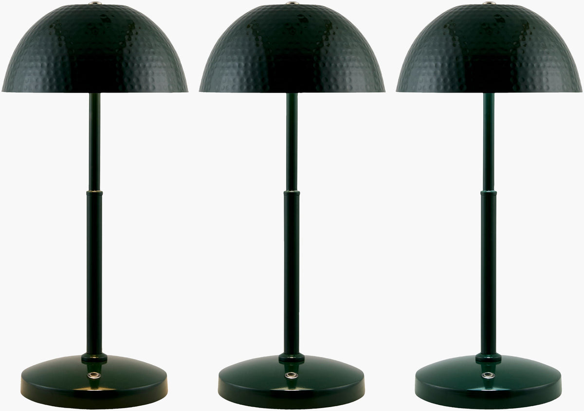 Elvas Accent Table Lamp
