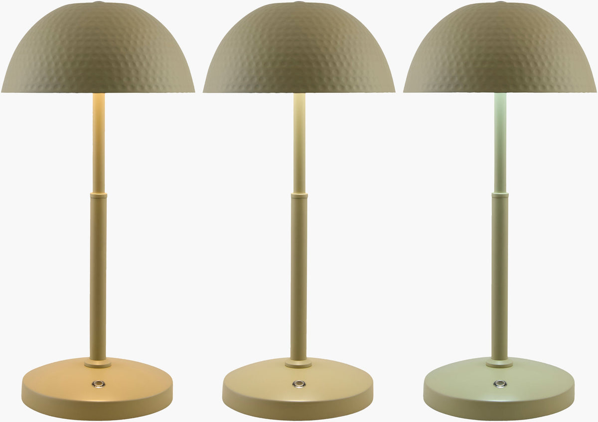 Elvas Accent Table Lamp