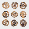 Corkscrew Wood Wall Decor, S/9