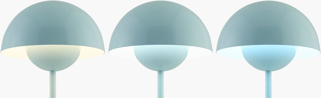 Mayotte Accent Table Lamp