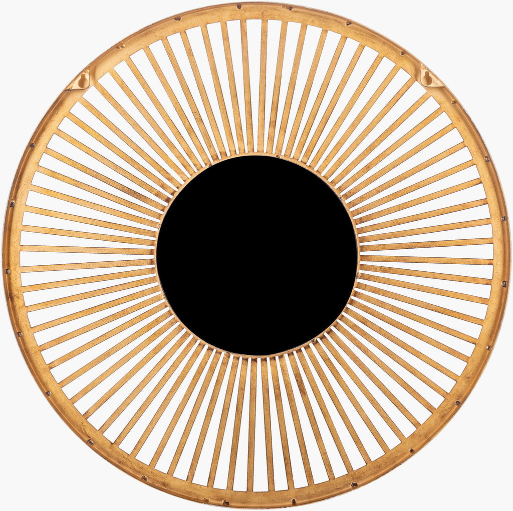 Vision Mirror